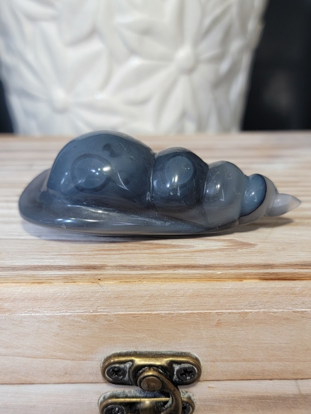 NEW 2.83" AGATE SHELL